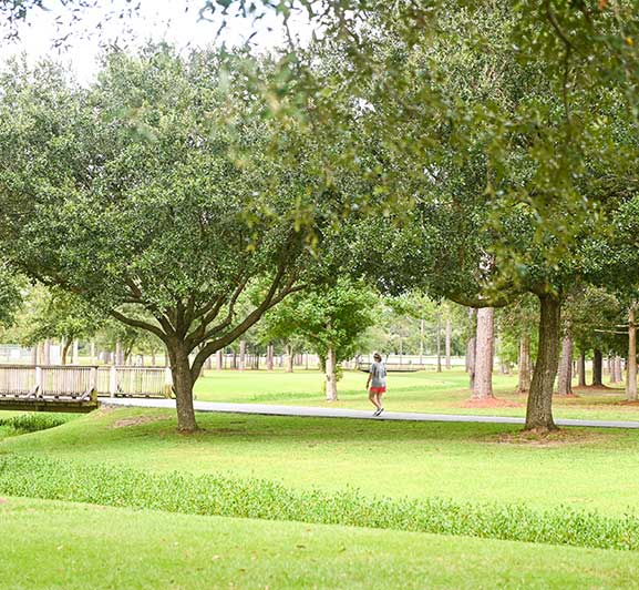 Walking Trail